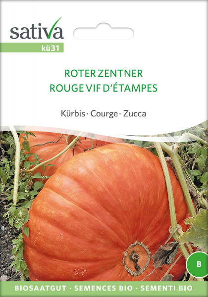 Kürbis 'ROTER ZENTNER' (demeter - Saatgut)